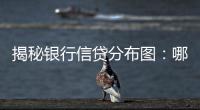 揭秘银行信贷分布图：哪里投放最多
，哪里不良最高？