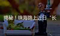 揭秘

！珠海路上近日“长”出的红色小锥锥有什么用
�？