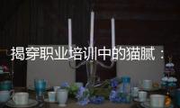 揭穿职业培训中的猫腻：靠训吃训肆意敛财