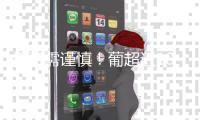 快排公司十年历程，霸屏兔 seo 的崛起与坚守