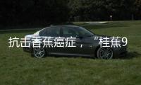 抗击香蕉癌症，“桂蕉9号”出手