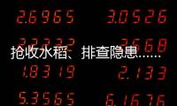 快排公司十年历程，霸屏兔 seo 的崛起与坚守