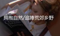 快排公司十年历程，霸屏兔 seo 的崛起与坚守