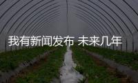快排公司十年历程，霸屏兔 seo 的崛起与坚守