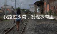我路过水沟	，发现水沟里有两个年轻女子�	，水沟旁边站着一个小伙子