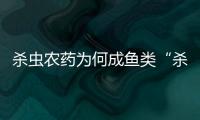 杀虫农药为何成鱼类“杀手”�？投放到水域后有何危害？