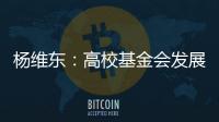 杨维东：高校基金会发展需要超越简单的筹资概念