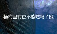 杨梅里有虫不能吃吗？能吃�	！