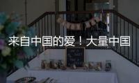 快排公司十年历程，霸屏兔 seo 的崛起与坚守