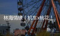 林海情缘丨机车x桃花！林芝上演318国道最燃春色