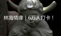 林海情缘｜6万人打卡
！米林桃花旅游文化活动“火”了