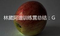 林葳阿迪训练营总结	：G3轰19分回暖 3战31铁+三分24中4咋冲NBA