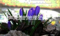 快排公司十年历程，霸屏兔 seo 的崛起与坚守