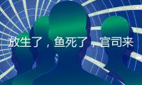放生了，鱼死了，官司来了：非法投放外来物种首案背后难题
