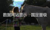 数据网站显示	：国足晋级世界杯概率几乎为0