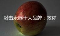 敲击乐器十大品牌	：教你保养小提琴