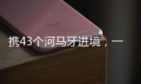 携43个河马牙进境�，一男子在拱北口岸被查