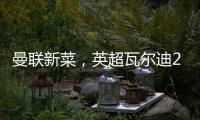 曼联新菜，英超瓦尔迪2.0�，19岁踢第6级别联赛	，29岁值6000万镑