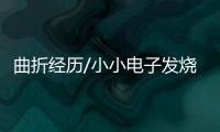 快排公司十年历程，霸屏兔 seo 的崛起与坚守