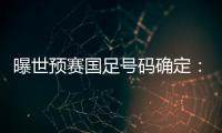曝世预赛国足号码确定：艾克森11号 武磊7号