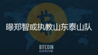 曝郑智或执教山东泰山队
，其实和郑智化执教没什么区别