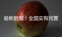 最新数据！全国实有民营经济组织1.85亿户