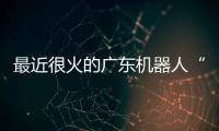 最近很火的广东机器人“七剑客”到底是谁
？