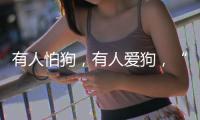 有人怕狗，有人爱狗�	，“宠物友好”空间能否消除对立
？