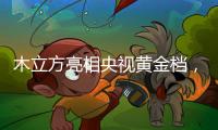 木立方亮相央视黄金档，绽放十大地板品牌光芒