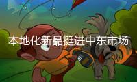 本地化新品挺进中东市场！中联重科R系列旋挖钻机交付阿联酋