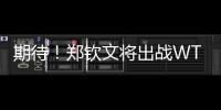 期待！郑钦文将出战WTA500华盛顿站比赛