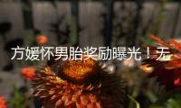 方媛怀男胎奖励曝光	！无限额信用卡、亿元豪礼，父母保姆轮流伺候