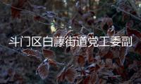 快排公司十年历程，霸屏兔 seo 的崛起与坚守