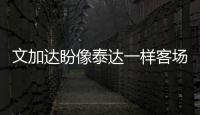 快排公司十年历程，霸屏兔 seo 的崛起与坚守