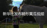 新华社发布畸形黄瓜视频爆火，戳破了当下教育最大的真相