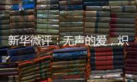新华微评�：无声的爱	
，炽热的中国心