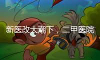 新医改大潮下�，二甲医院如何夹缝求生
？
