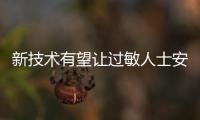 快排公司十年历程，霸屏兔 seo 的崛起与坚守