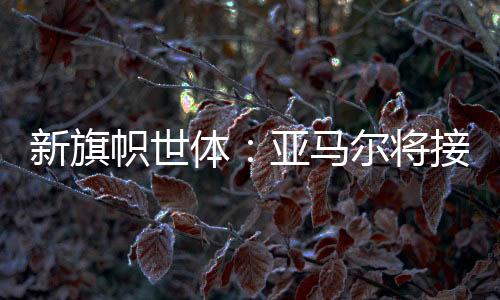 过法佩尼亚不会继续留队