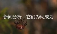 新闻分析：它们为何成为2020年度全国十大考古新发现
？