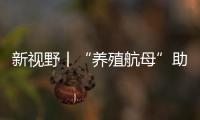 新视野丨“养殖航母”助力“蓝色粮仓”破浪启航