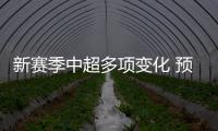 快排公司十年历程，霸屏兔 seo 的崛起与坚守