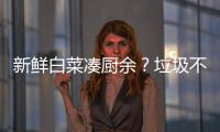 新鲜白菜凑厨余？垃圾不仅要分

，更要减