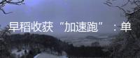 早稻收获“加速跑”�：单产提升行动显成效 丰收基础稳