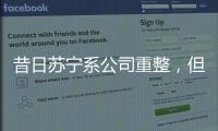 昔日苏宁系公司重整
�，但易主后的上市公司扭亏为盈