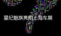 快排公司十年历程，霸屏兔 seo 的崛起与坚守