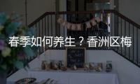 快排公司十年历程，霸屏兔 seo 的崛起与坚守