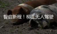 智启新程！柳工无人驾驶压路机领航智慧施工新时代