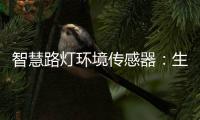 智慧路灯环境传感器：生态+城市建设