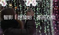 智影丨惊蛰始
，春回万物生